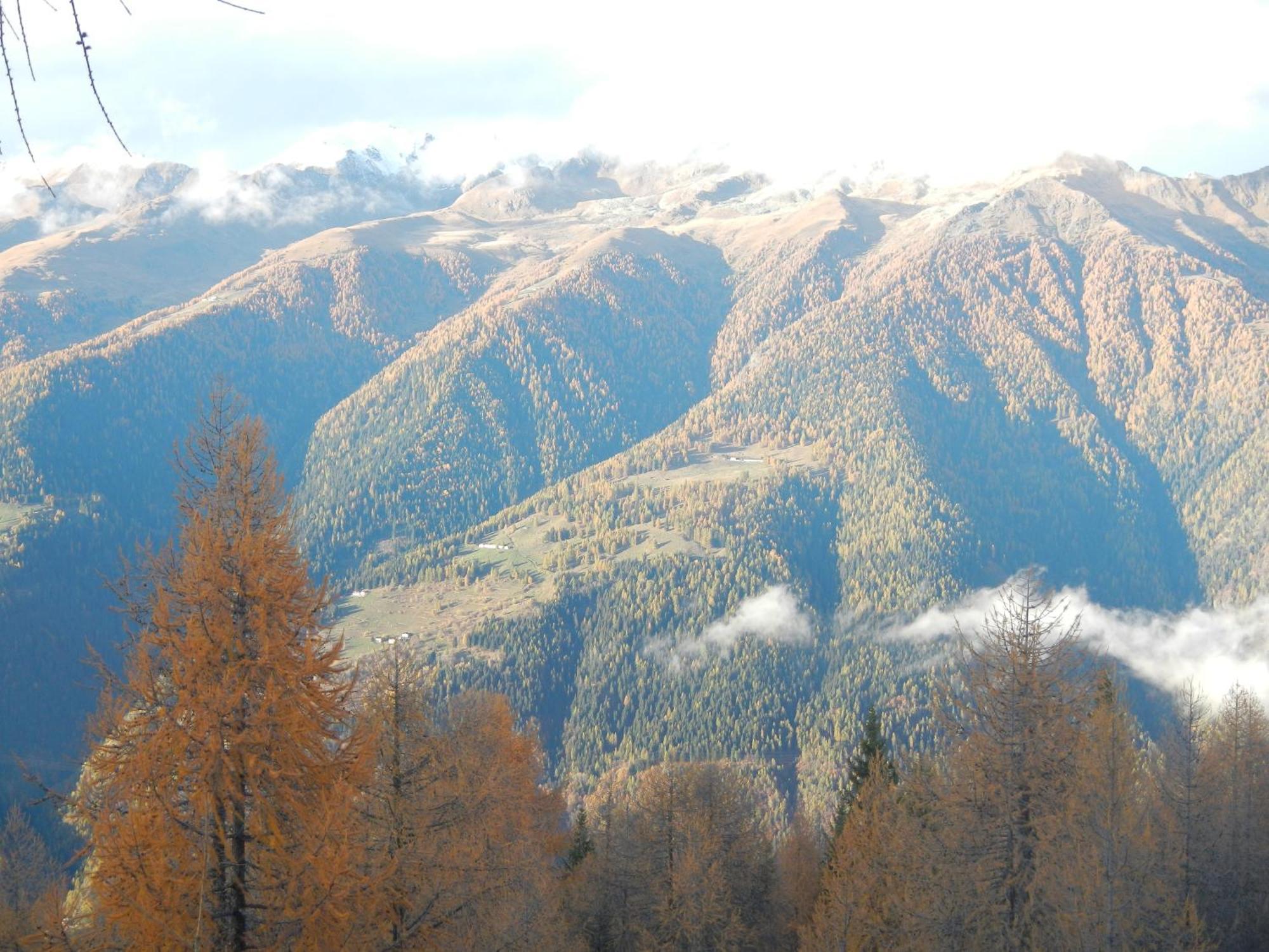 Villetta Val Di Sole คอมเมซซาดูรา ภายนอก รูปภาพ