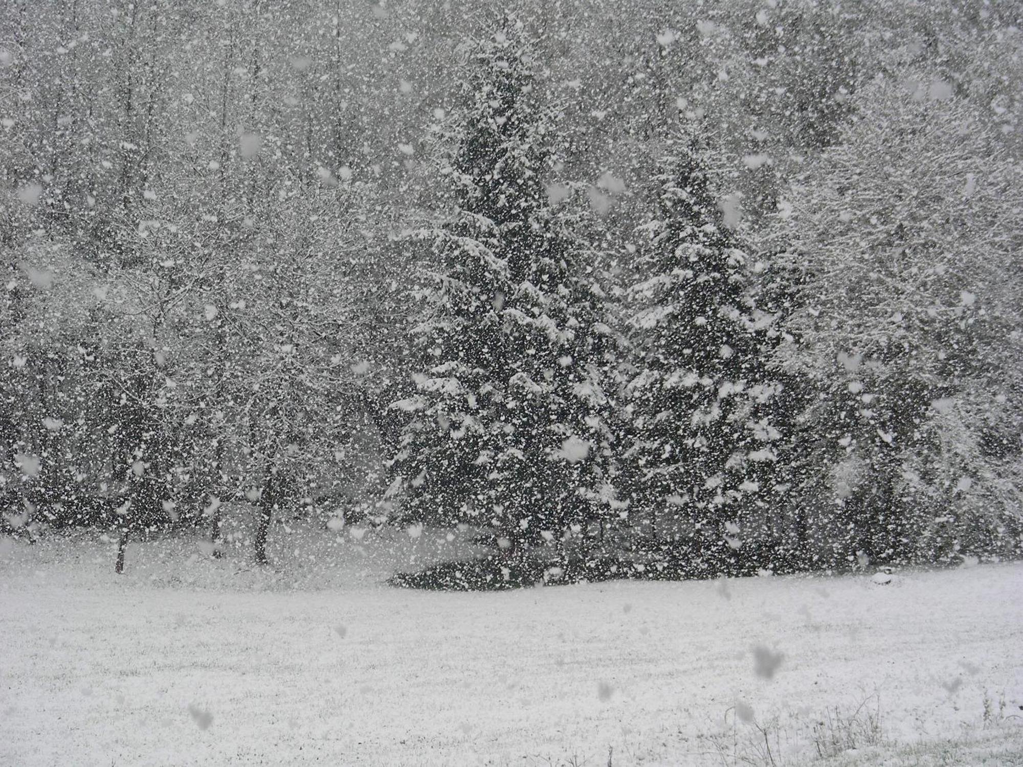 Villetta Val Di Sole คอมเมซซาดูรา ภายนอก รูปภาพ